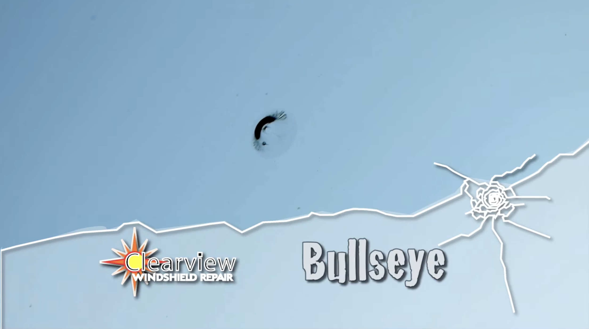 Bullseye video